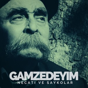 Gamzedeyim