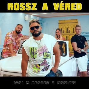 Rossz a véred (feat. Herceg & HRflow)