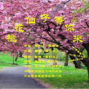 桃花仙子等你来 (女版)