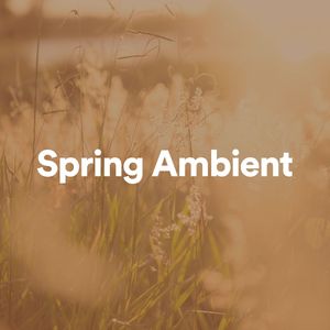Spring Ambient