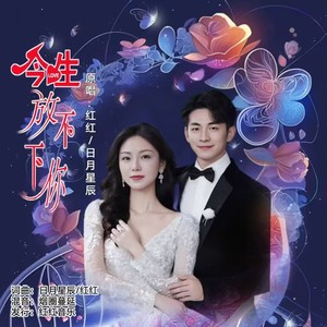 今生放不下你 (DJ对唱版伴奏)