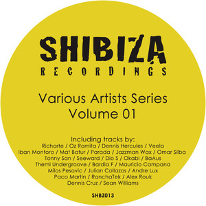 Various Artists Series 01