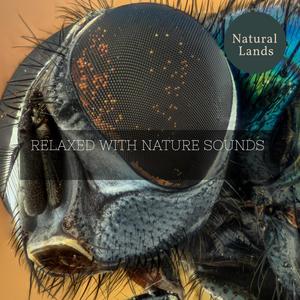 Relaxed with Nature Sounds