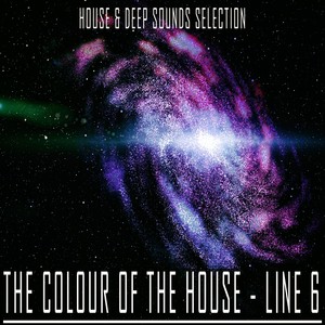 Shake (Householders Mix)