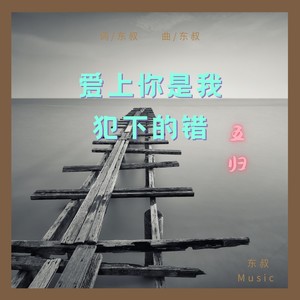 爱上你是我犯下的错 (DJ周午版)