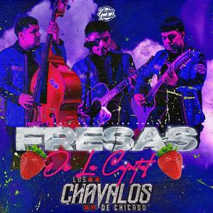 Fresas de la Capital