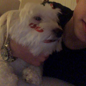 Hadise - Olsun (Remix)