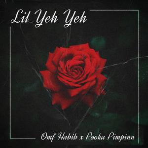 Lil Yeh Yeh (feat. Pooka Pimpinn) [Explicit]