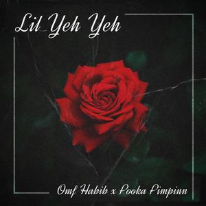 Lil Yeh Yeh (feat. Pooka Pimpinn) (Explicit)