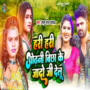 Hari Hari Odhani Bicha Ke Jado Ji Ke Delu