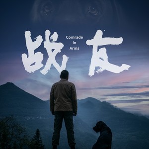 无言的战友