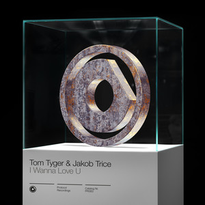 I Wanna Love U (Extended Mix)