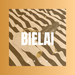 你潇洒我漂亮 (DJ弹鼓版)