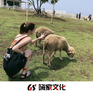 苏小宝 - 爱情真的有时很残忍 (DJ老歌)