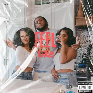 Feel Like (feat. SoGQ & Kriticaliam) (Explicit)
