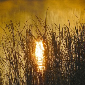 El Dorado(feat. Robert Hoffman)