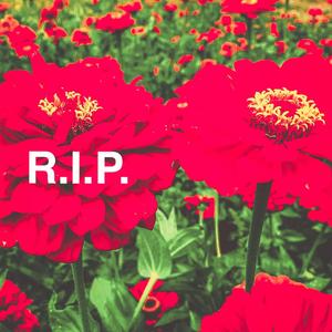 R.I.P. (Explicit)