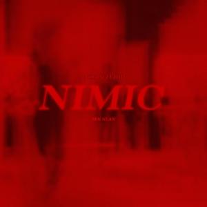 Nimic (feat. 4Turry4)