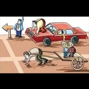 鲨鱼辣椒付出没有回报