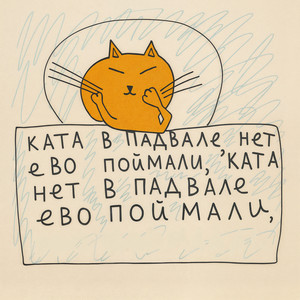 Кота в подвале нет, его поймали