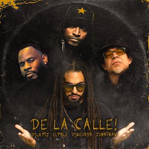 De la calle! (feat. Dj Neurys, El Pblo & Zumbiman)