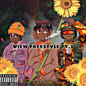 View Freestyle, Pt. 3 (feat. Bando Wrld, Tweet4x & Wann2active) [Explicit]