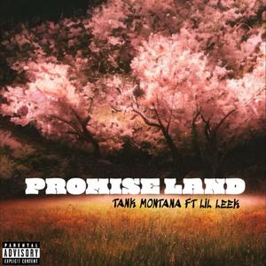 Promise Land (feat. Lil Leek) [Explicit]