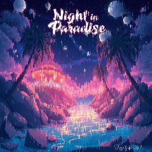 Night in paradise