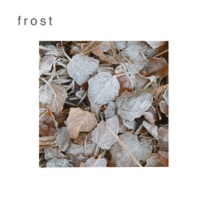 Frost