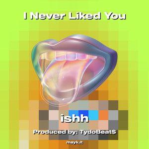 I Never Liked You