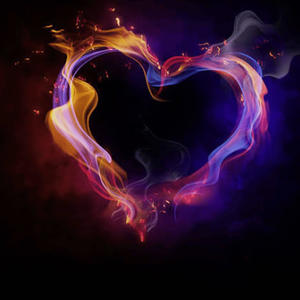 LET MY NEW LOVE BEGIN