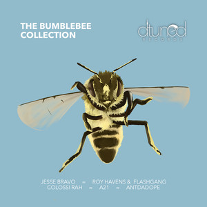 The Bumblebee Collection