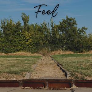 Feel (Explicit)