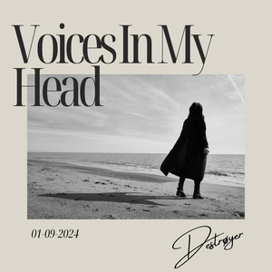 Voices In My Head