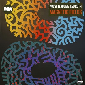 Magnetic Fields (Original Mix)
