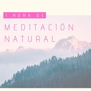 1 Hora De Meditación Natural: 20 Canciones De Música De Relajación Con Sonidos De La Naturaleza