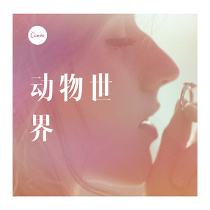 点歌的人 (DJ版)