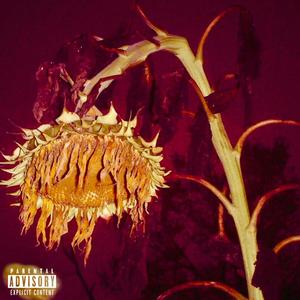 GOLD CAGE (Explicit)