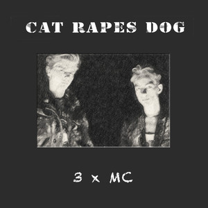 3x MC (Demo Tapes)
