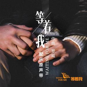 等着我封面