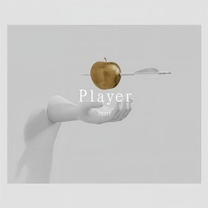 娱乐家 (Player)