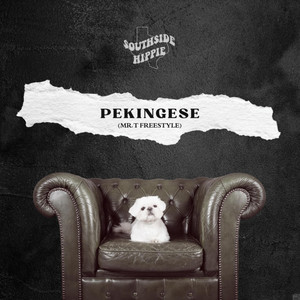 Pekingese (Mr. T Freestyle|Explicit)