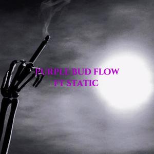 PurpleBudFlow (feat. static) (Explicit)