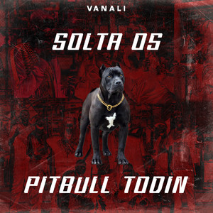 Solta os Pitbull Todin (Explicit)