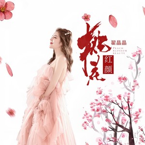 桃花红颜-DJ阿能版封面