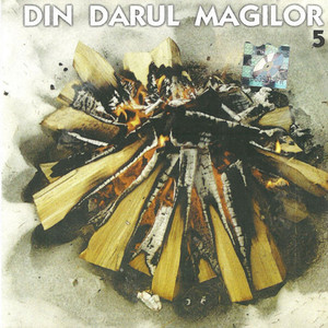 Din Darul Magilor 5