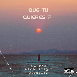 que tu quieres (feat. Zyeq & Alsbeatz) (Explicit)