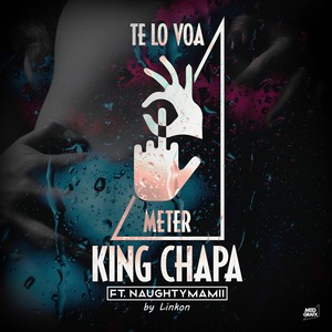 Te lo Voa Meter (feat. NaughtyMamii) [Explicit]