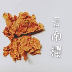 云南樱