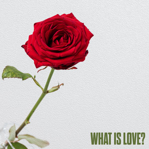 What Is Love?